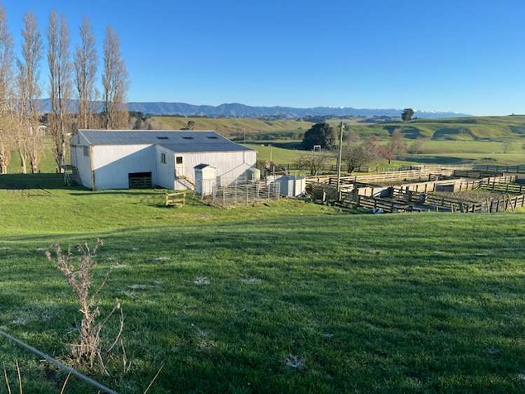 680 Cowper Road Dannevirke_2