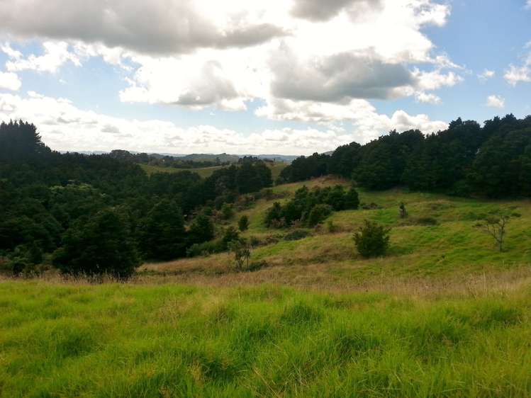 2568a Paparoa-Oakleigh Road Paparoa_13