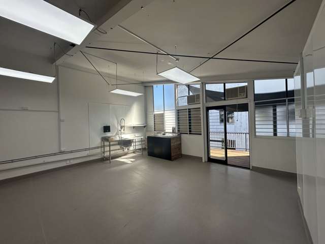 23 Williamson Avenue Grey Lynn_3