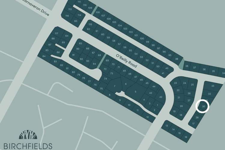 Lot 30 Birchfields Lincoln_7