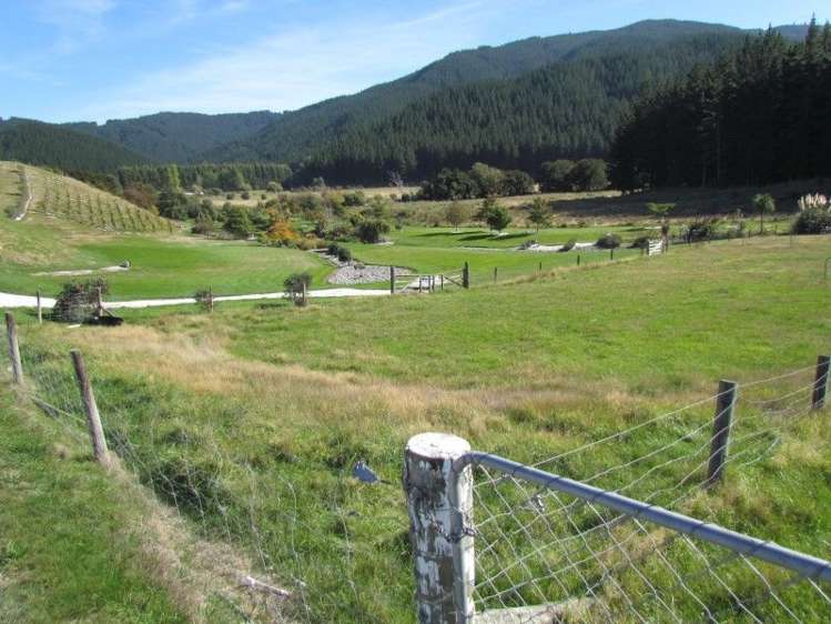 1008 Kaituna Tuamarina Road Kaituna_16