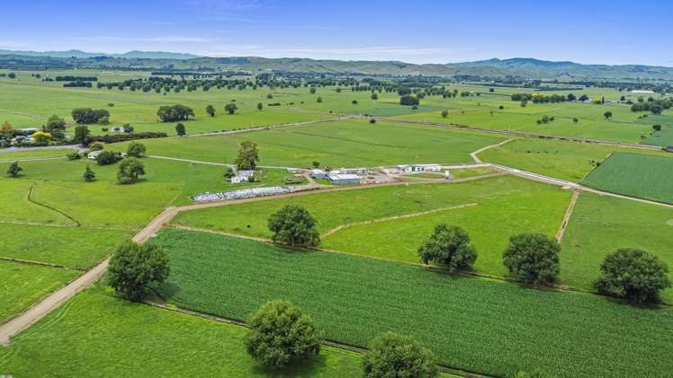 51a Waverley Road Gordonton_32