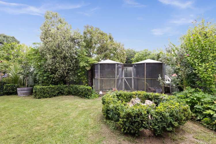 10 Cheval Place Taradale_19