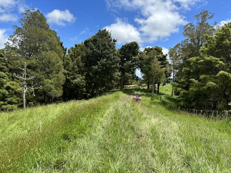 1228a Bull Road Paparoa_28