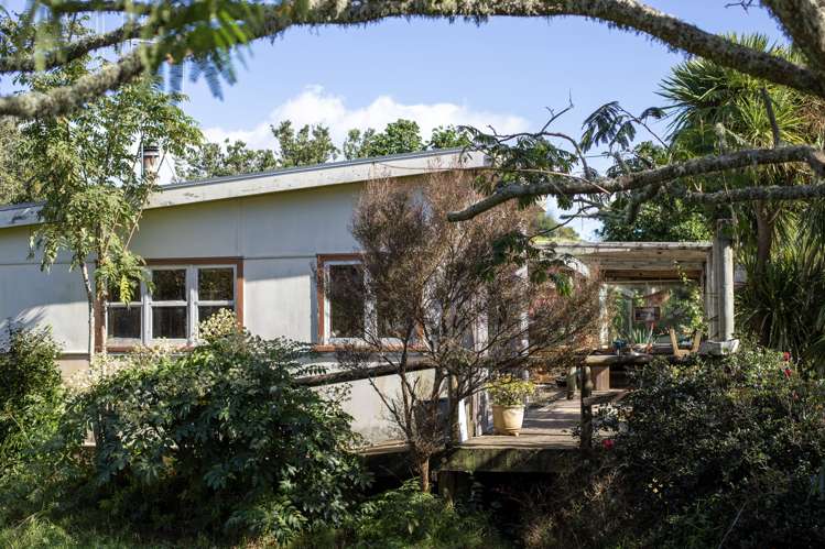 18 Cornwall Road Raglan_7