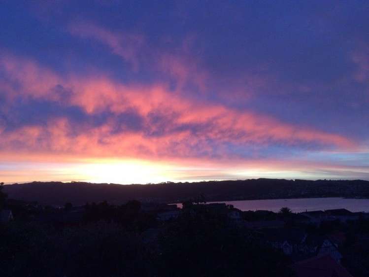 2/4 Kinloch Place Papakowhai_2