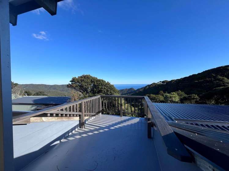 187 Piha Road Piha_11
