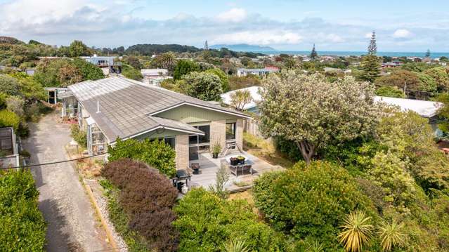 41 Manuka Street Otaki_3