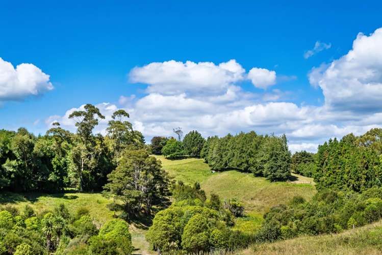 8 Pine Ridge Lane Aongatete_49