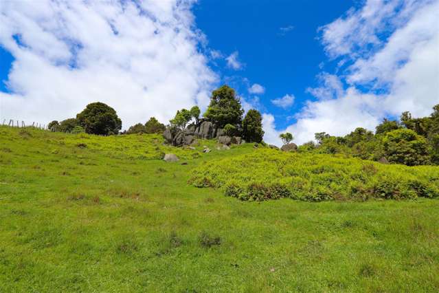 3226 Hauturu Road Waitomo_3