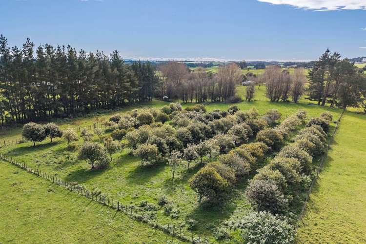 87 Pukeoware Road Glenbrook_27