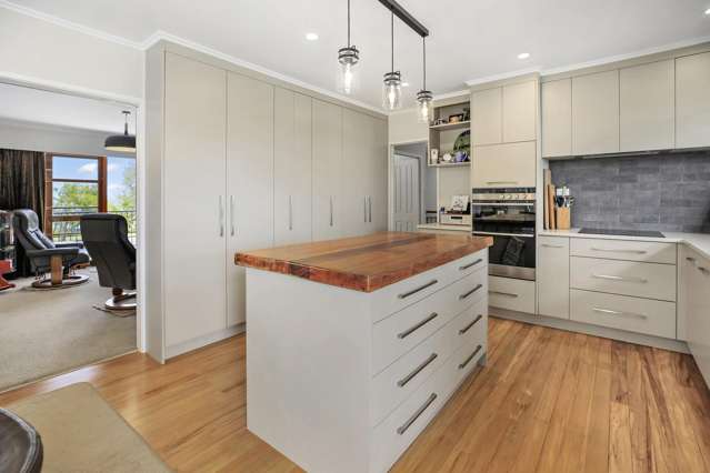 117 McNair Road Te Awamutu_3