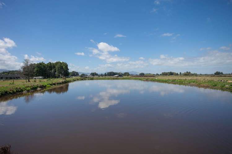 1067 Hauraki Road Paeroa_6