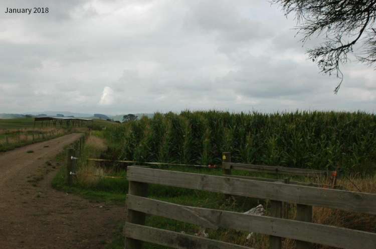 21 Grayden Road Morrinsville_25