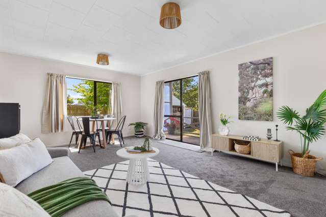 1A Quinn Road Levin_1