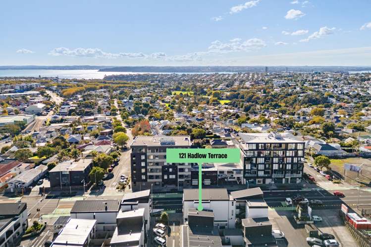 121 Hadlow Terrace Grey Lynn_16