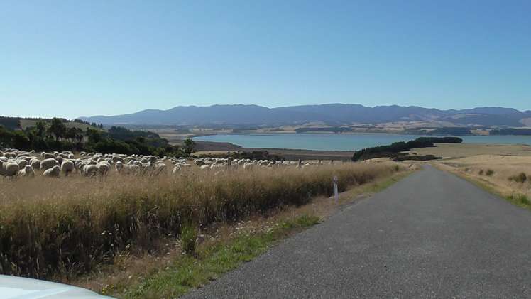 3626a Western Lake Road Ocean Beach_11