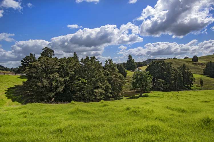 Lot 1 Oetzman Rd Hikurangi Rd2_11