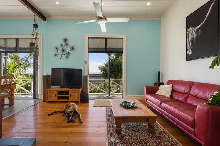 504 Sealey Street Thames_6