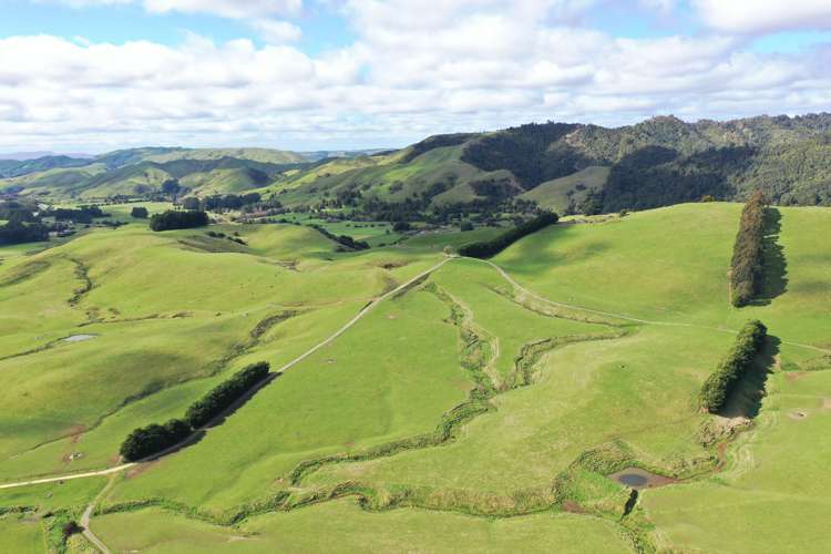 85289 State Highway 2 Eketahuna_17