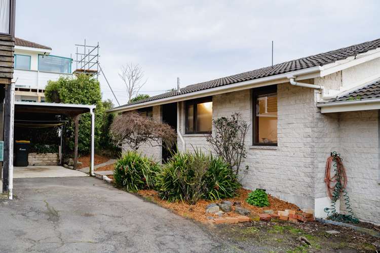 9b Jane Street Macandrew Bay_18