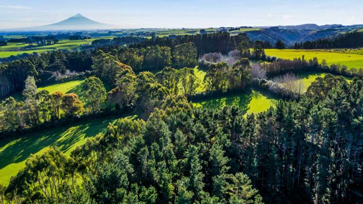 709 Ingahape Road Ohangai_7