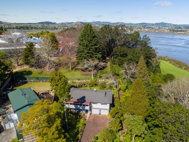 236 Fraser Street Tauranga South_2