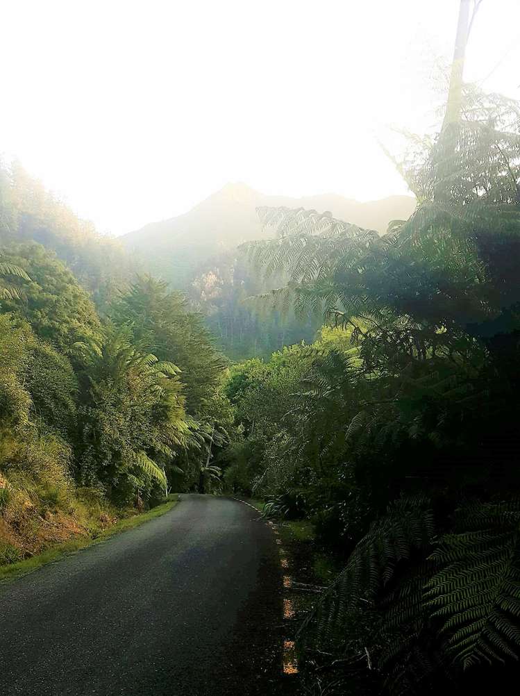 23a Moresby Street Karangahake_7