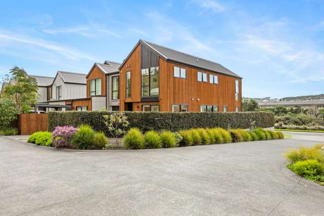 Coastal Comfort and Lifestyle on Orewa Estuary