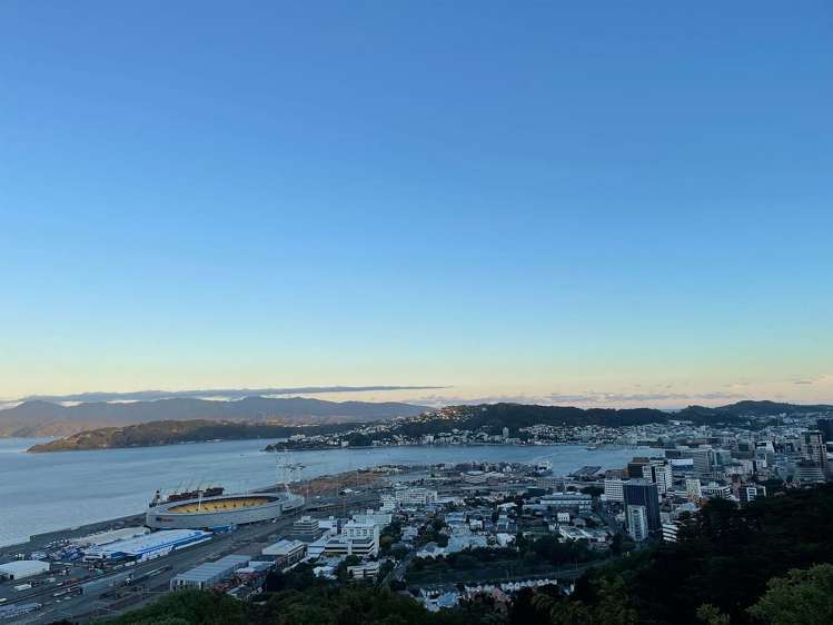 20 Orchard Street Wadestown_1