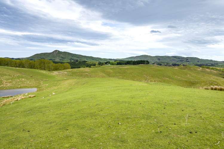 139 Clareinch Road Omakere_28