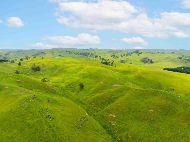 671 Ruakiwi Road Te Akau_11