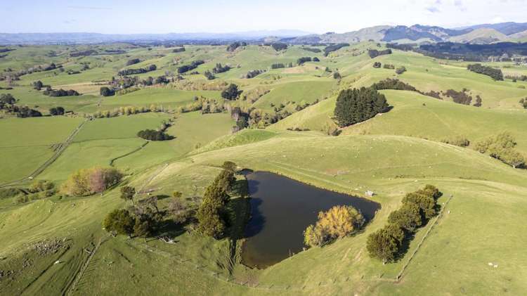 72 Te Hau Road Masterton_17