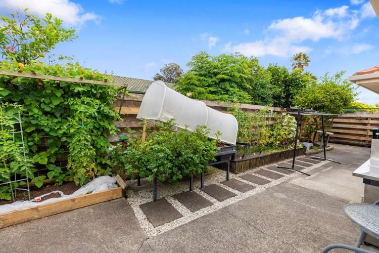 10 Abelia Avenue Mount Maunganui_18