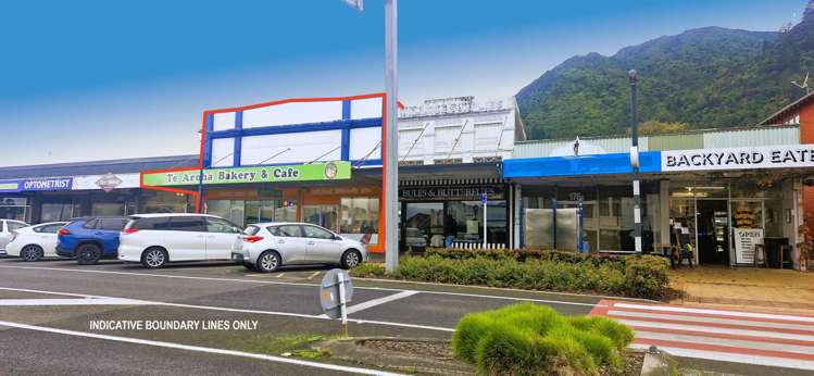 180 Whitaker Street Te Aroha_1