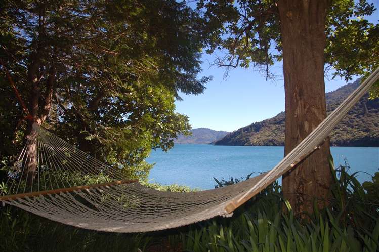 Endeavour Inlet Marlborough_12