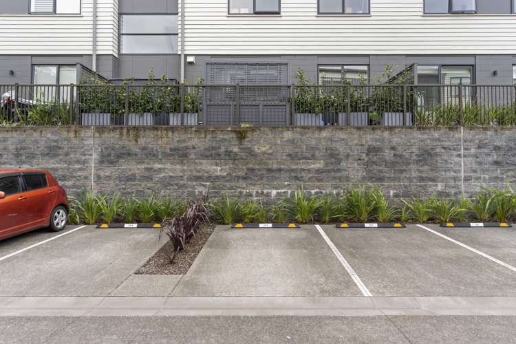 203/3 Percy Winstone Lane Stonefields_14