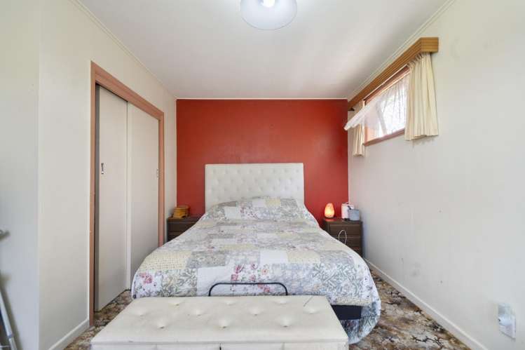 5 Hammond Street Bulls_7