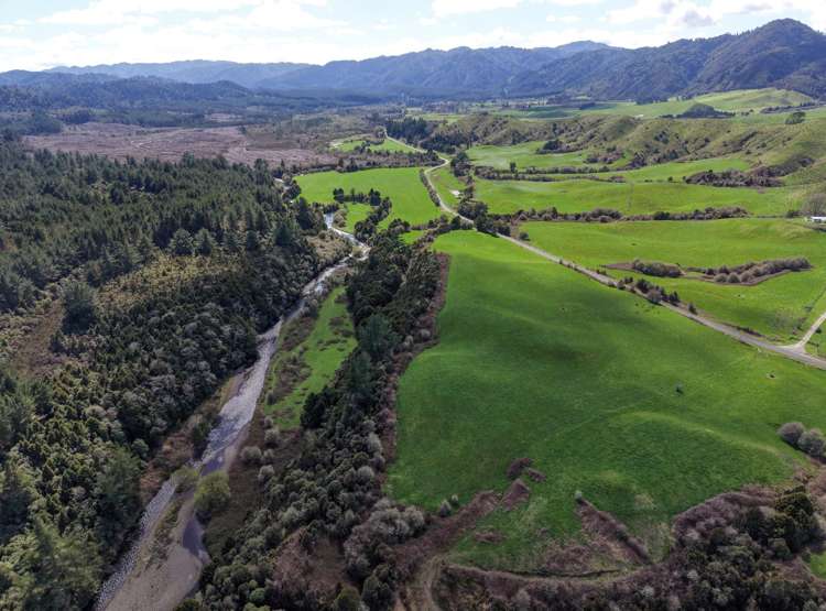 Lot 3/283 Minginui Road Galatea_7