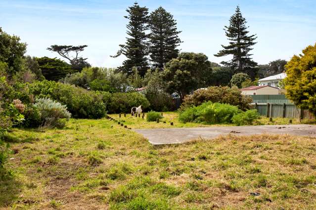 6 Elizabeth Street Patea_3