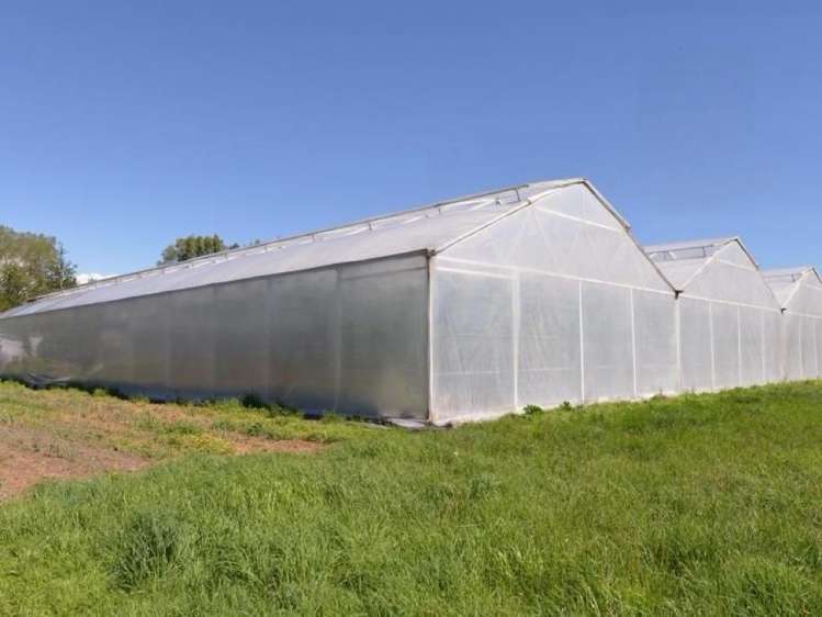 175 Mabers Road Clarkville_16
