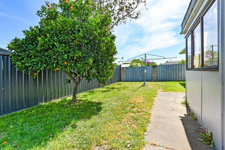239B Flaxmere Avenue 10480_2