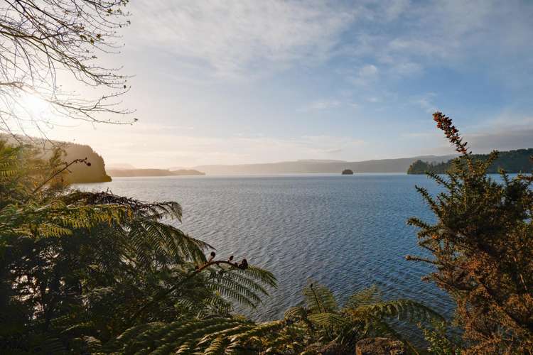 364 Maniatutu Road Rotoiti_35