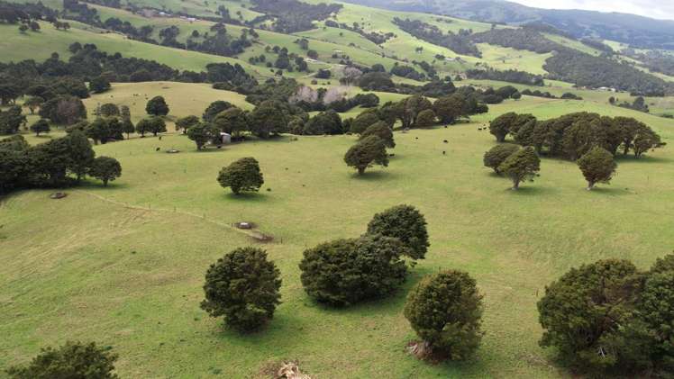 4283 State Highway 12 Dargaville Surrounds_1