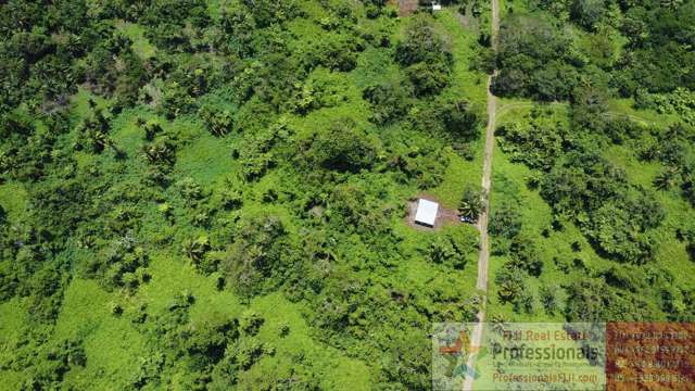 Address withheld Taveuni_4