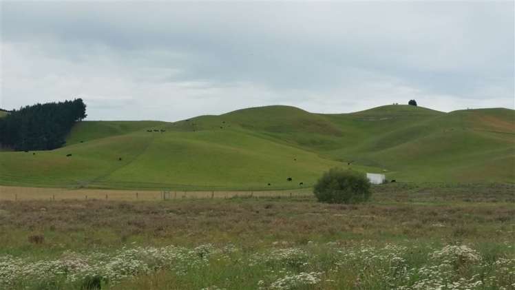 918 Taiko Road Levels Valley_3