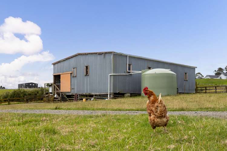 93 Escott Road Dairy Flat_28