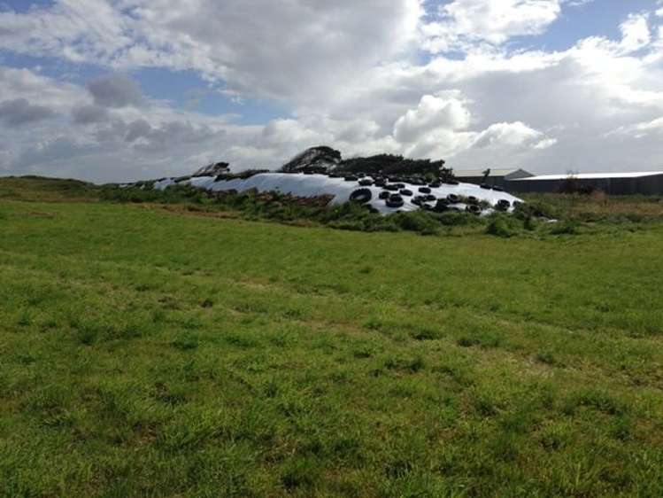 1110 Waimatuku Bush Road Taramoa_13