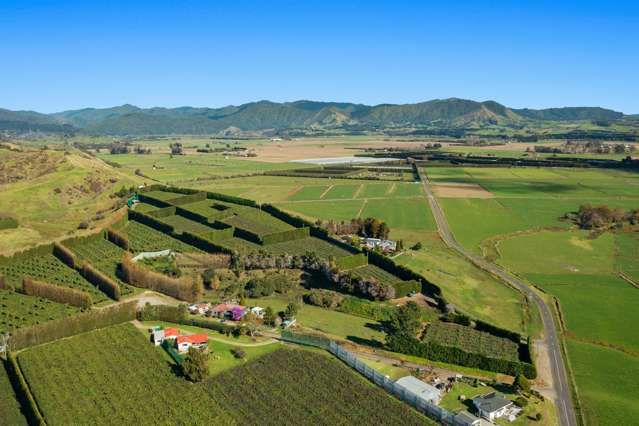 31 Clark Cross Road Opotiki Coastal_3