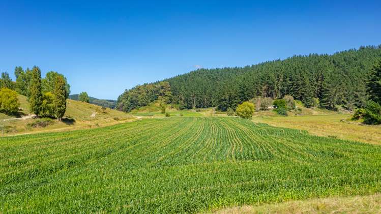 532 Waiatai Road Wairoa_15